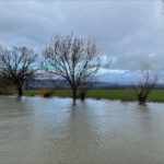 Angespannte Lage wegen Hochwasser in Freiburg