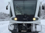 Schaffhausen: Unfall, Zug kollidiert mit umgestürztem Baum