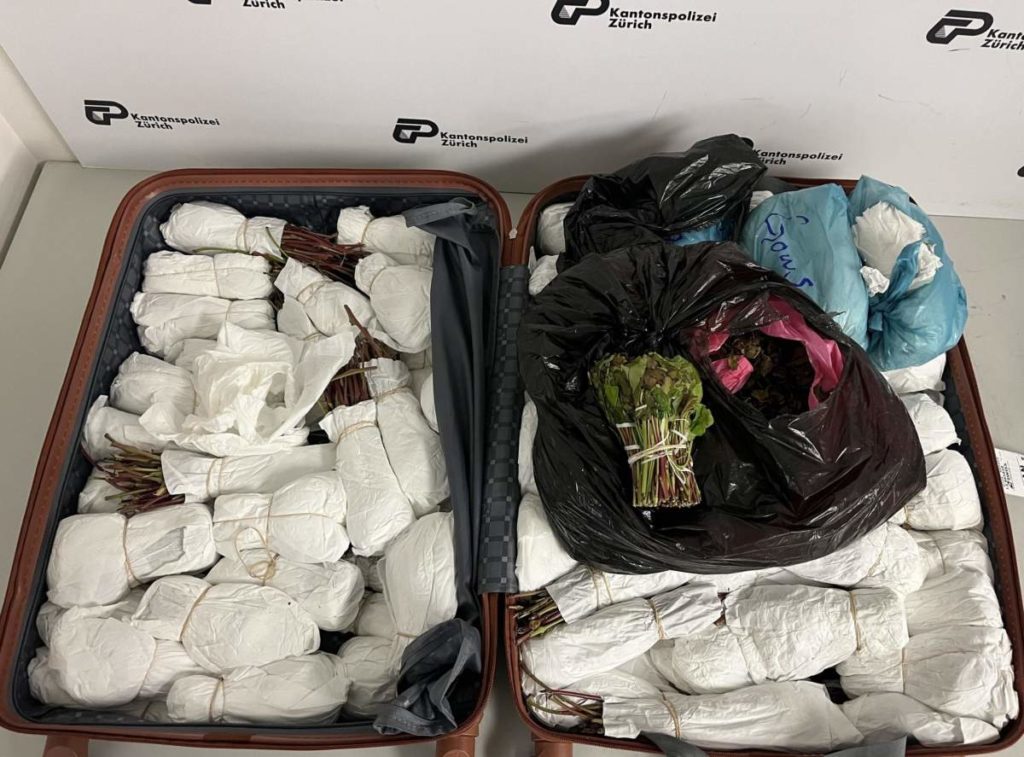Zürich: Drogenkurier mit Khat im Gepäck am Flughafen erwischt