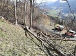 Ruscheln GR: Landwirt verletzt sich bei Holzerarbeiten schwer
