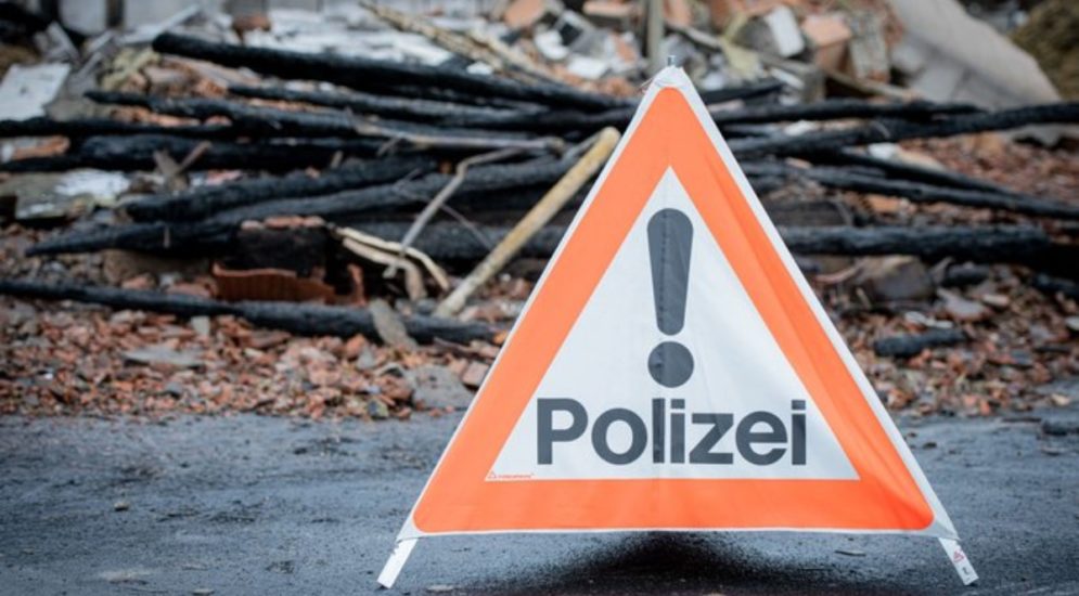 Zürich: Waldhütte brennt bis auf die Grundmauern herunter