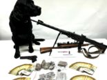 Glarus: Spürhund ‘Flake’ führt zu Waffen, Geld und Drogen