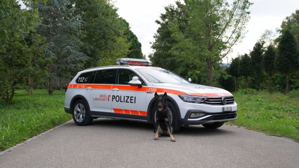 Schäferhund «Ares» vor polizeiauto