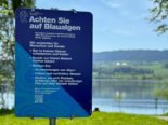 Uster ZH: Erhöhte Konzentrationen von Blaualgen im Greifensee!