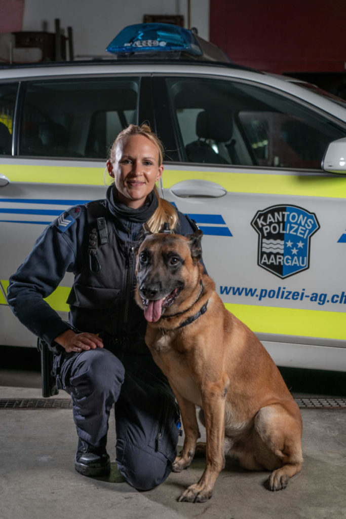 hund polizei
