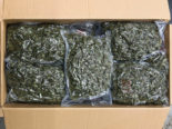 Duggingen BL: 21 Pakete mit Marihuana sichergestellt