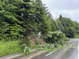 Erdrutsch: Martinsbruggstrasse in St. Gallen gesperrt