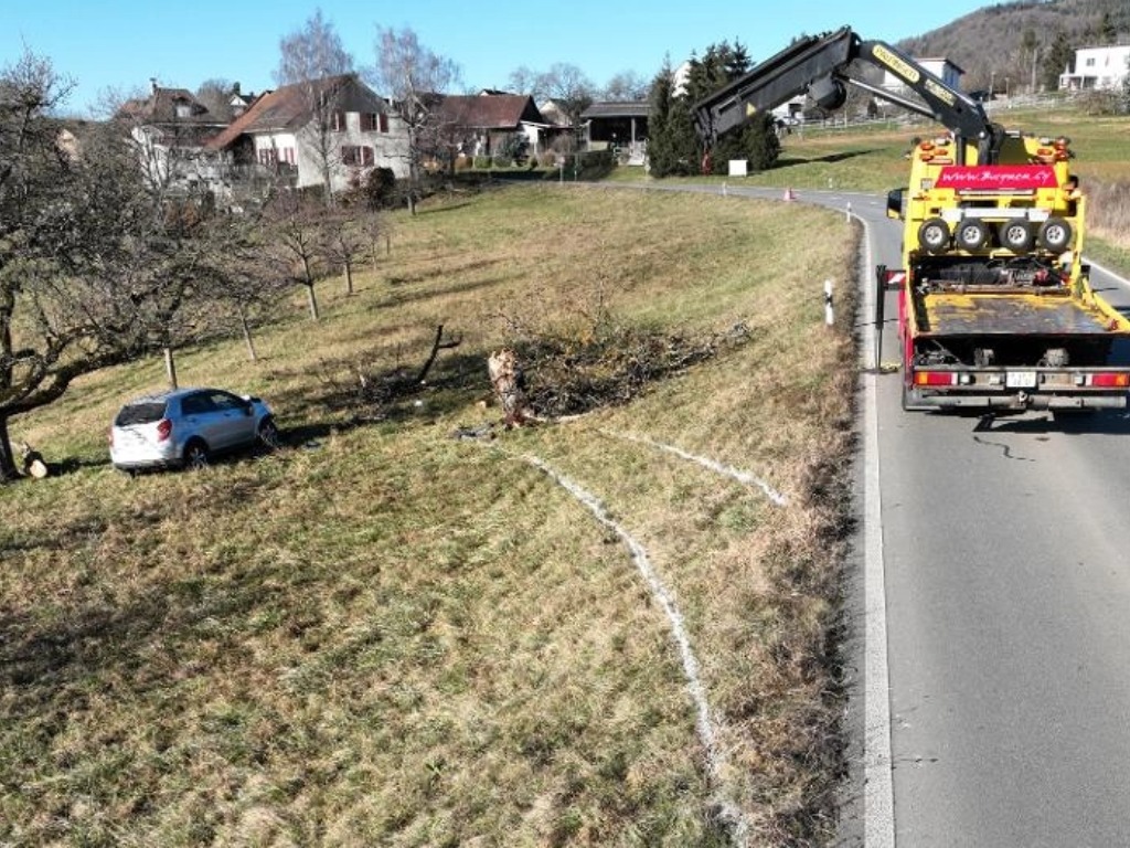 Siblingen-SH-PW-prallt-gegen-Baum-Lenker-78-verletzt