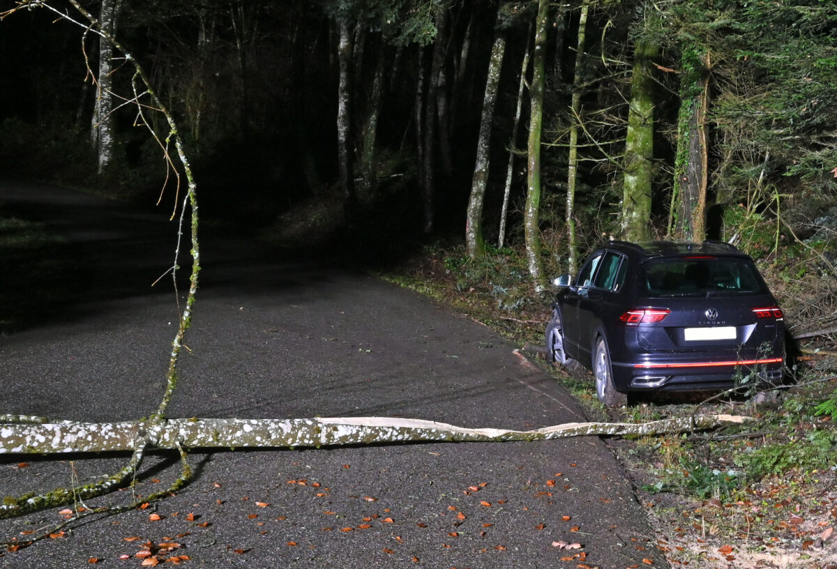 unfall-altishofen-lu-1-88-lenker-23-prallt-in-baum-gesperrt