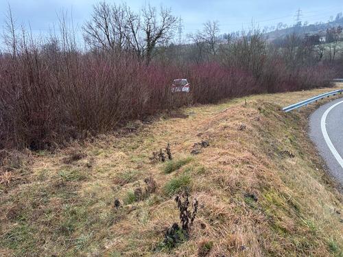 frick-ag-promille-lenker-80-f-hrt-in-a3-ausfahrt-geradeaus